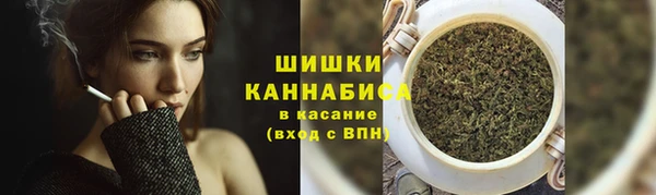 jwh Ельня