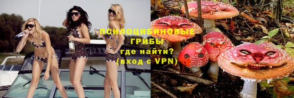 jwh Ельня