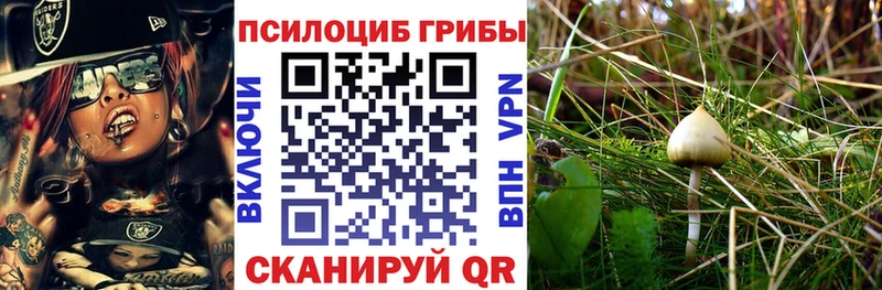 магазин продажи Яранск Галлюциногенные грибы MAGIC MUSHROOMS